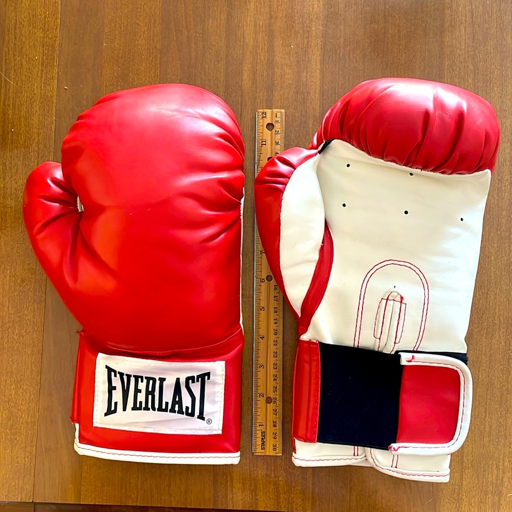 Everlast Training Gloves